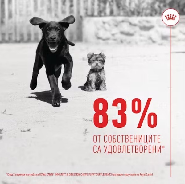 Royal Canin Puppy Suppllement Immunity and Digestion - Хранителна добавка за малки кученца за имунитет и добро храносмилане